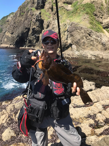 アイナメの釣果