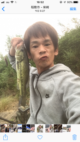 ラージマウスバスの釣果