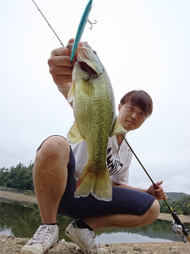 ブラックバスの釣果