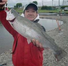 ヤシオマスの釣果