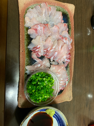 アイゴの釣果