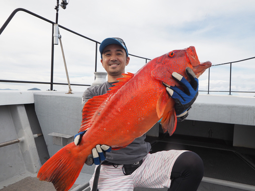 スジアラの釣果