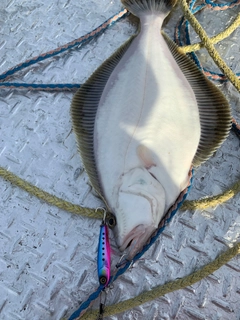 ソウハチの釣果