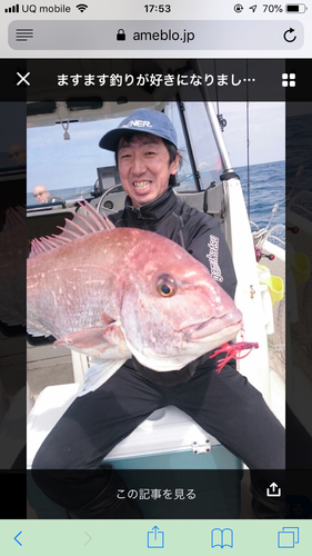 マダイの釣果