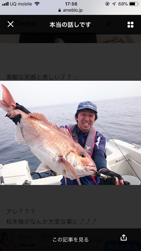 マダイの釣果