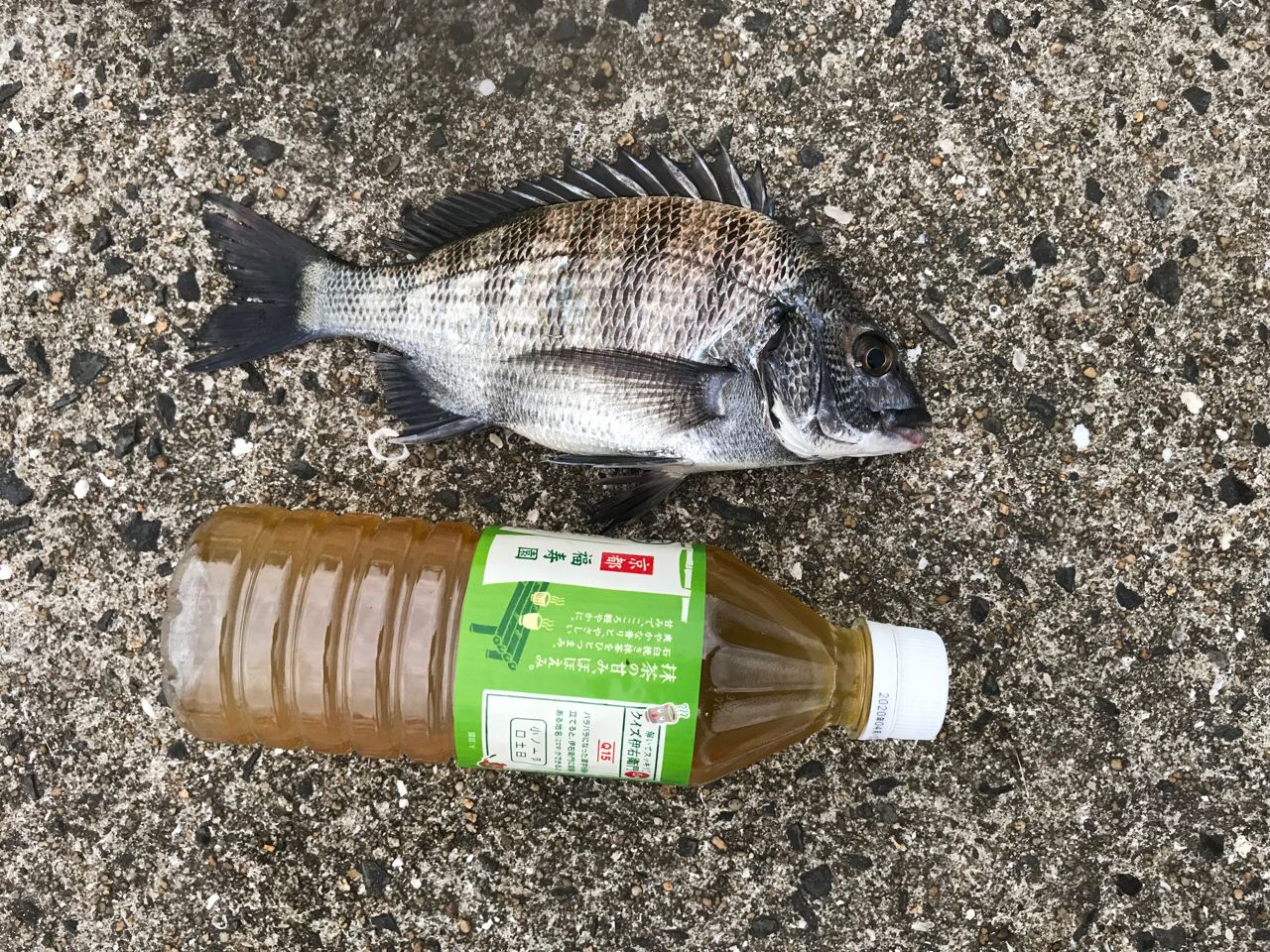 メイタ