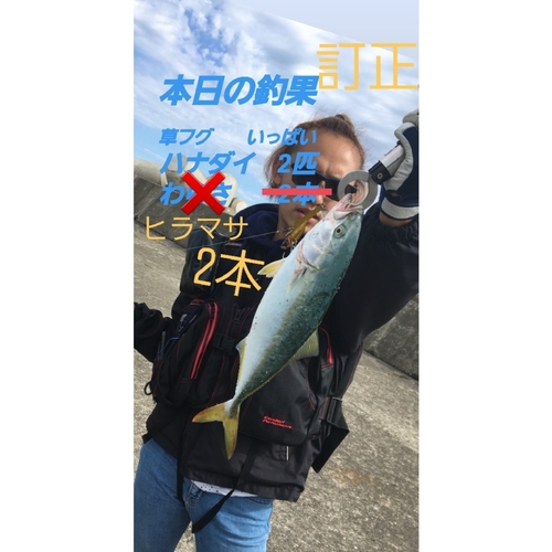 ヒラマサの釣果