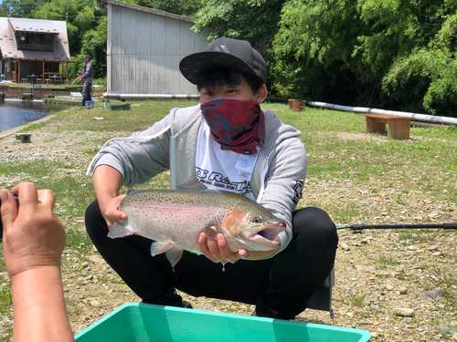 レインボートラウトの釣果