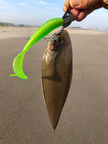 シタビラメの釣果