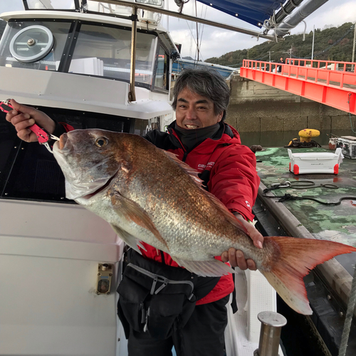 マダイの釣果