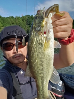 ブラックバスの釣果