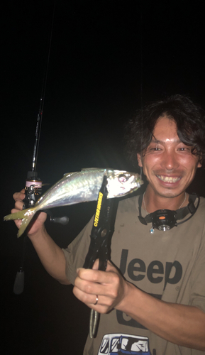 マアジの釣果