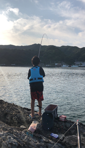 ヒブダイの釣果