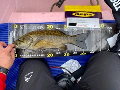 スモールマウスバスの釣果
