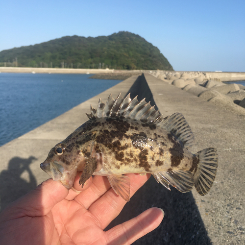 釣果