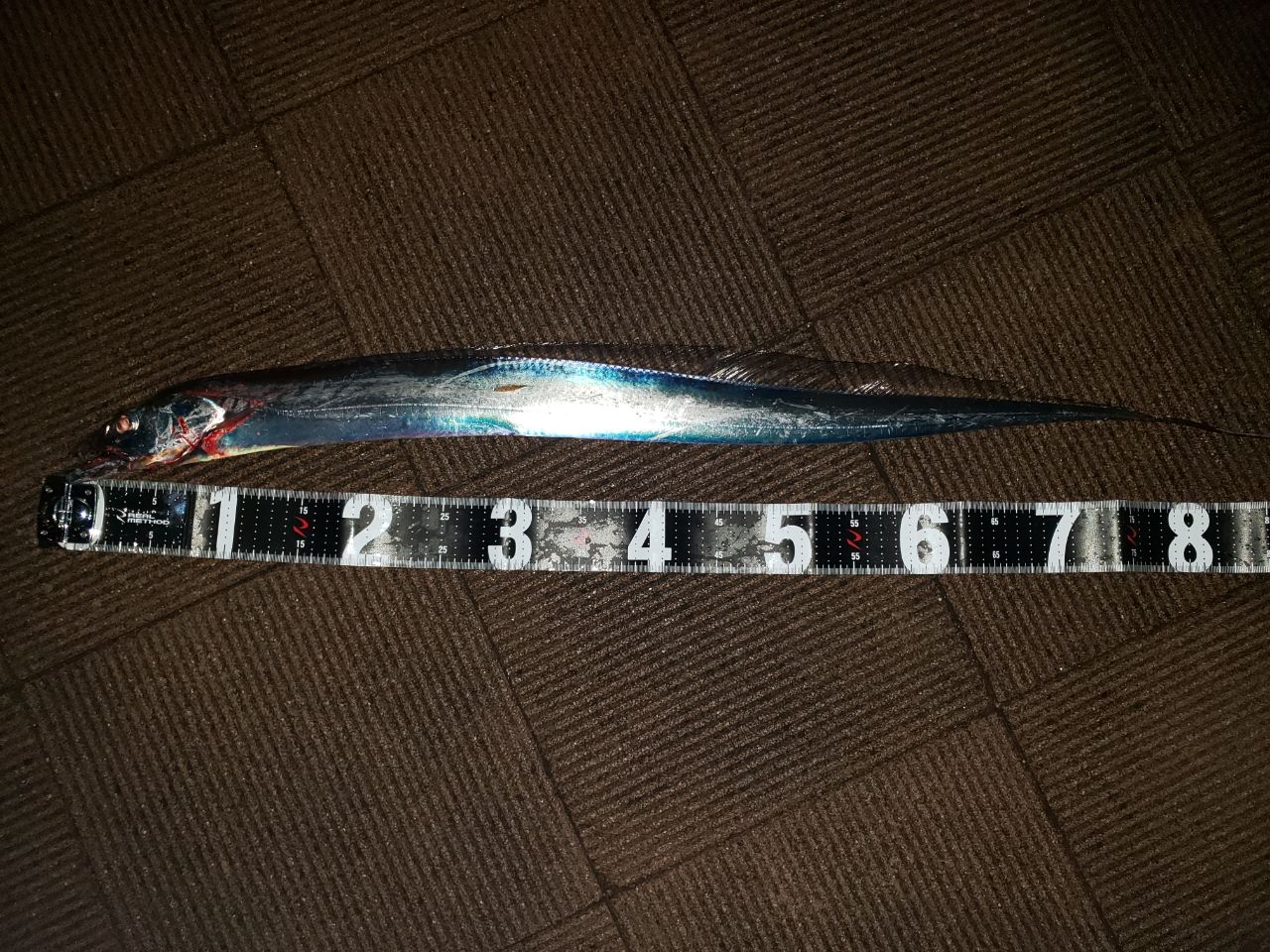 タチウオ