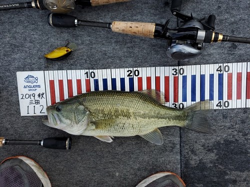 ブラックバスの釣果