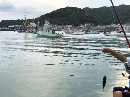 フグの釣果