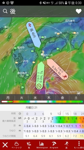 モイカの釣果