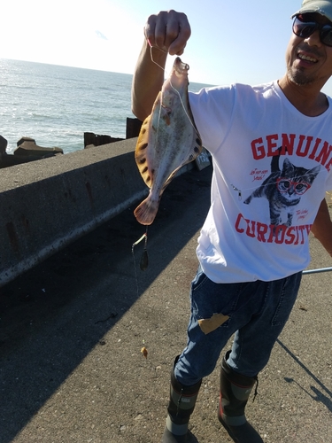 タカノハの釣果