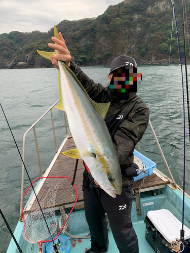 ヒラマサの釣果