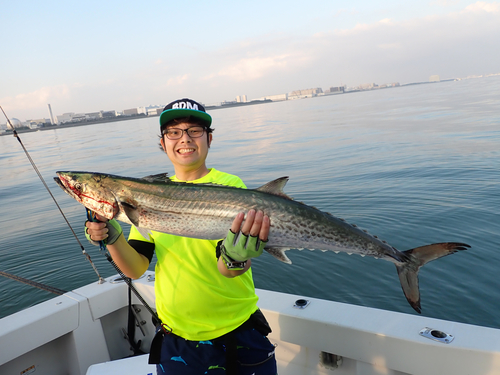 サワラの釣果