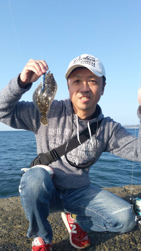 ヒラメの釣果