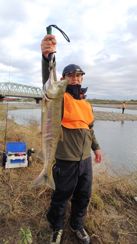 シロザケの釣果