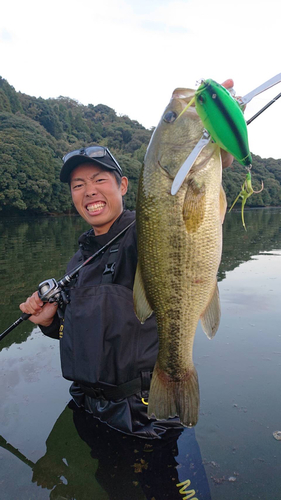 ブラックバスの釣果