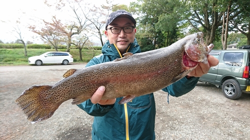 ニジマスの釣果