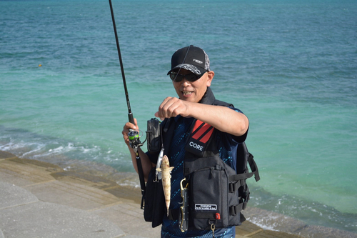 古宇利島で釣れたエソの釣り・釣果情報 - アングラーズ
