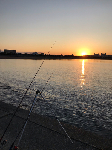 ハゼの釣果