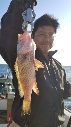 オオモンハタの釣果