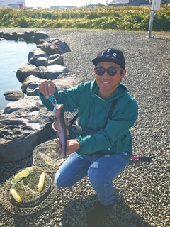 ニジマスの釣果