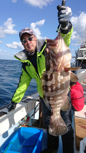 アラの釣果