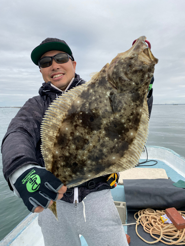 ヒラメの釣果