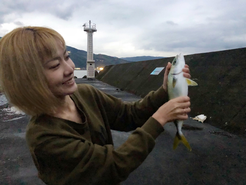 イナダの釣果