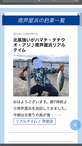 ハマチの釣果