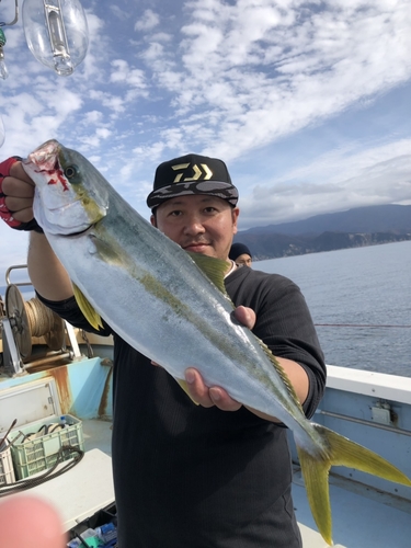 イシダイの釣果