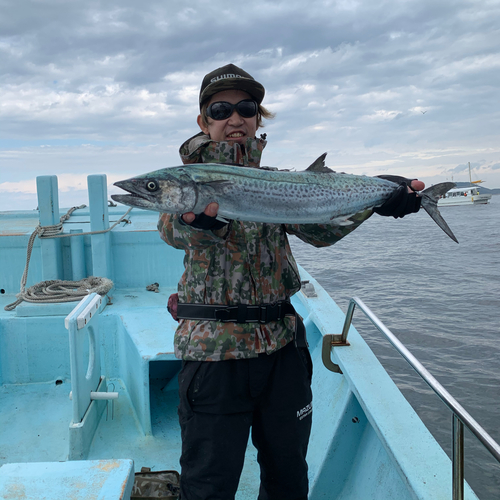 サワラの釣果