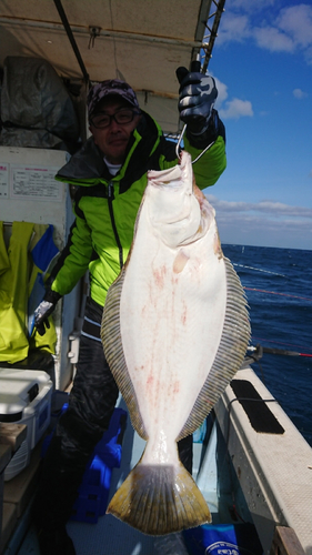 ヒラメの釣果