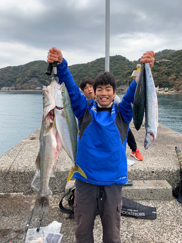 スズキの釣果