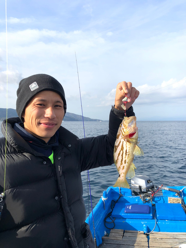 ホウキハタの釣果