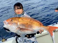 マダイの釣果