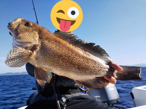 オオモンハタの釣果