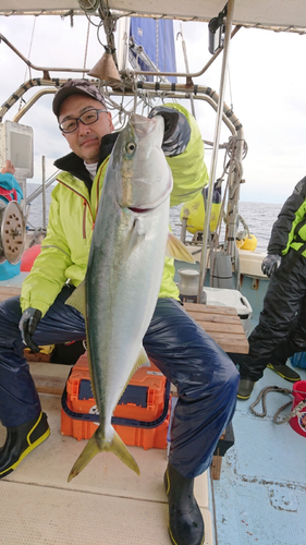 ハマチの釣果