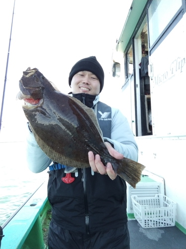 ヒラメの釣果