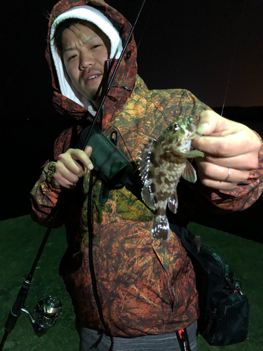 タケノコメバルの釣果