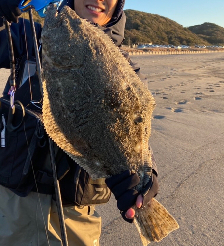 ヒラメの釣果