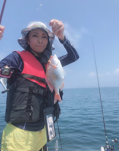 レンコダイの釣果